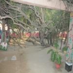 Vraj-Yatra-2014- (2473)